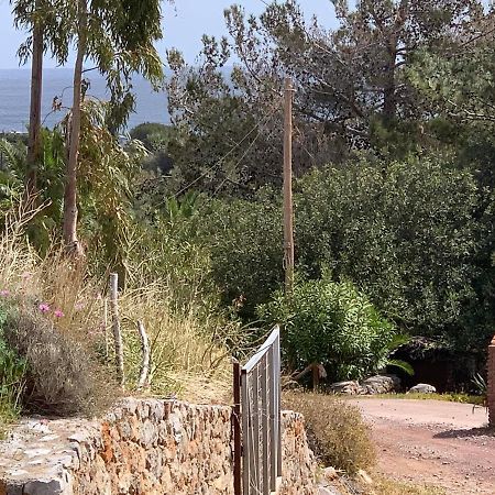 Villa Sea View Mesa Mpanta Káto Zákros Exterior foto