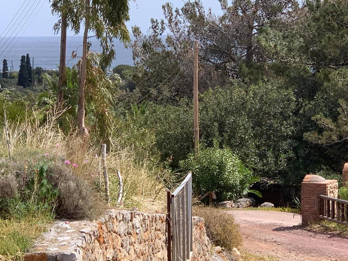 Villa Sea View Mesa Mpanta Káto Zákros Exterior foto